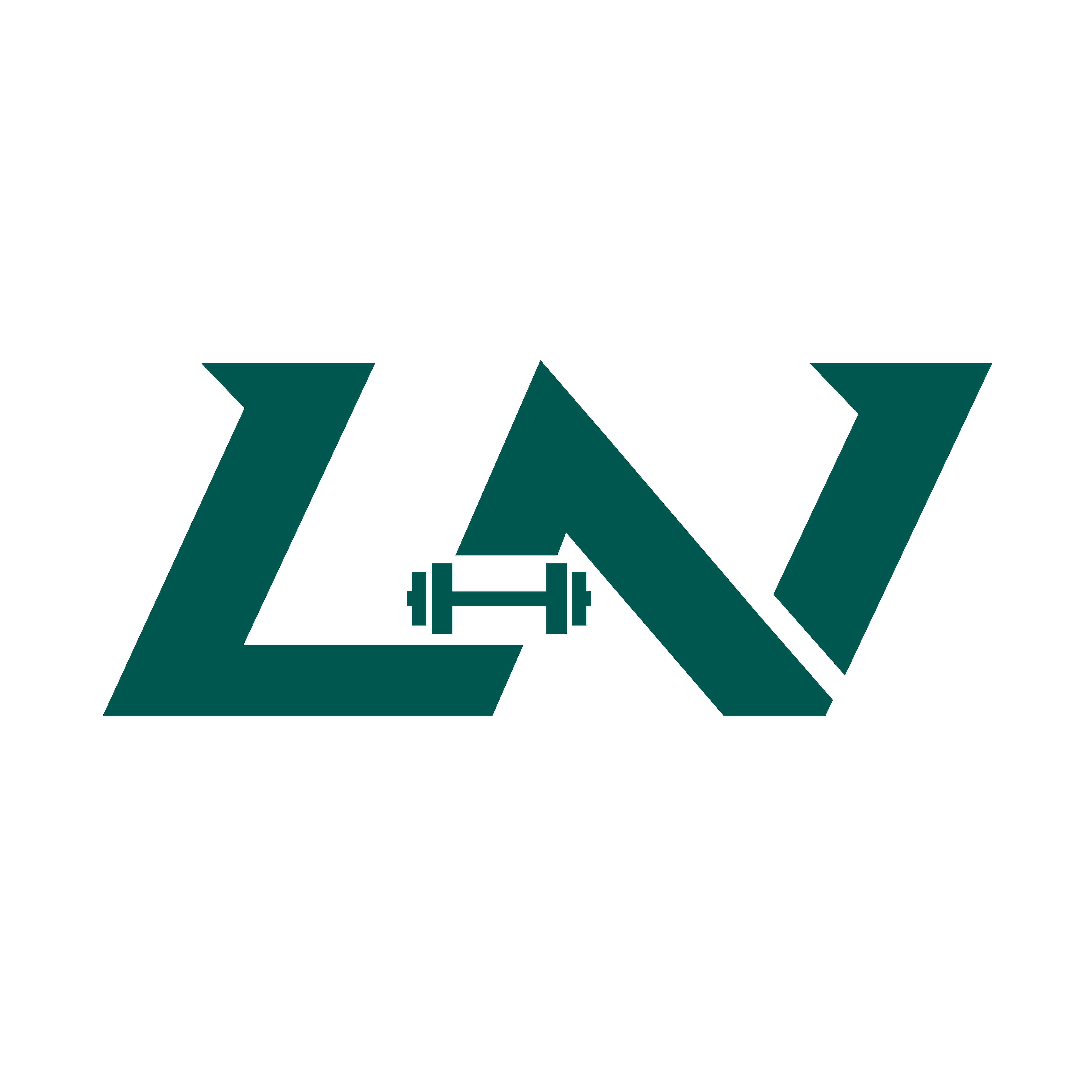 LN Logo